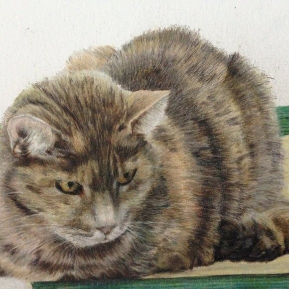 Meet your Posher, Hindy - Picture 1 of 2